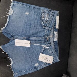 NWT Just Black Denim Jean Shorts